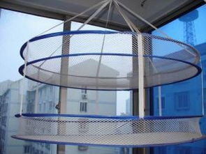 义乌市双丫日用品厂 小商品之都的日用品制造先锋